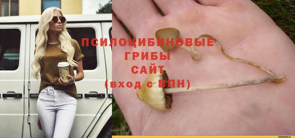 хмурый Балахна