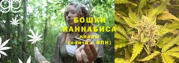 сатива Балабаново