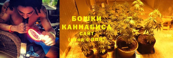 сатива Балабаново