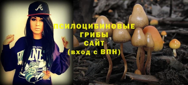 сатива Балабаново