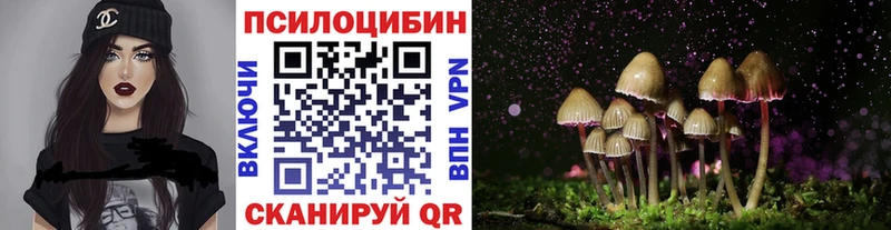 что такое MEGA ССЫЛКА Псилоцибиновые грибы GOLDEN TEACHER Вольск